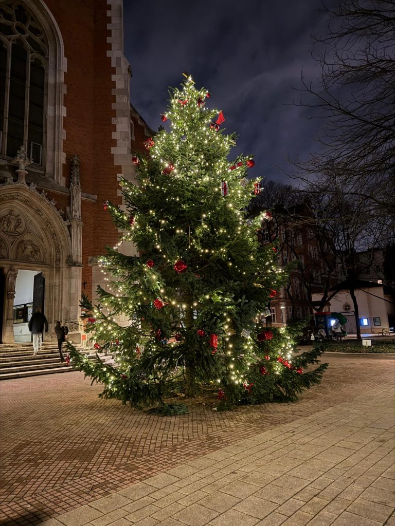 Christbaum / Weihnachtsbaum vor Sankt Elisabeth
